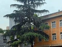 -西安电影制片厂