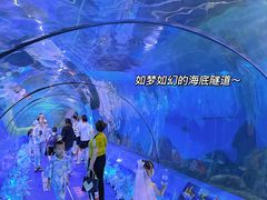 -重庆欢乐海底世界