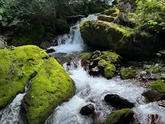 -神农架香溪源景区