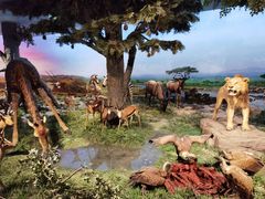 -国家自然博物馆