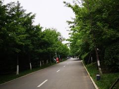 -长白岛森林公园