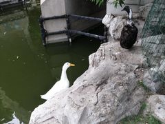 -团结湖公园