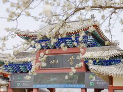 -沂蒙山旅游区龟蒙景区