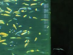 -合肥海洋世界