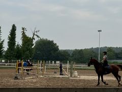 -北京群众马术培训基地