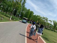 -上海长兴岛郊野公园