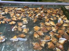 -大茄来海鲜餐厅(亚洲城分行)