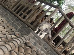 -百花人家(清水镇店)