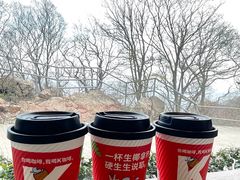 -紫金山山顶公园