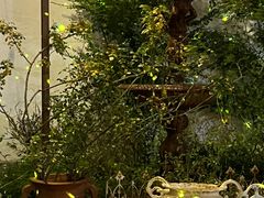 -秘密小花园(第三中学店)