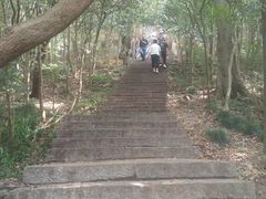 -紫金山天文台