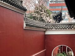 -长春观