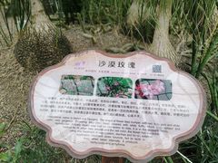 -南山植物园