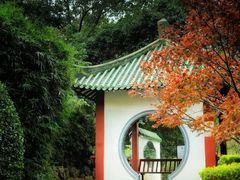 -中山公园