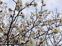 -宁波野生动物园