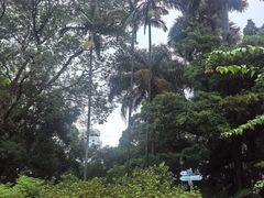 -九龙公园