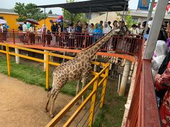 -西霞口神雕山野生动物世界