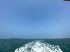 -海驴岛(荣成市)