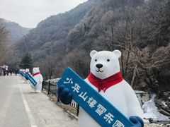 -少华山国家森林公园