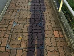 -大埔公路-马料水段香港中文大学(公交站)