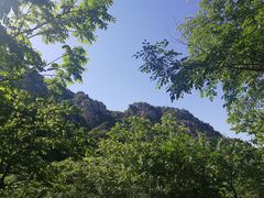 -大岭沟猕猴桃谷风景区