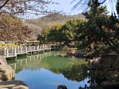 -白马涧龙池景区