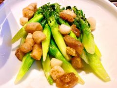 豆油菜心-英冠索菲特酒店·萧湘阁中餐厅