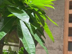 -园里火锅(仁和新城店)