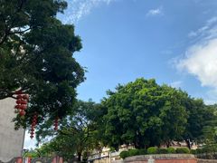 -广州神农草堂中医药博物馆