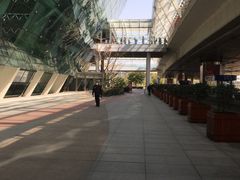 -合肥新桥国际机场-航站楼