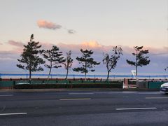-百纳·久贺日料 (百纳瑞汀花园酒店)