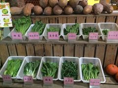 -顺风山庄(水濂山店)