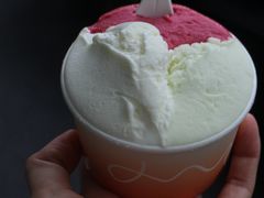 -Dip in Gelato(富民路店)