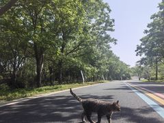 -同里国家湿地公园
