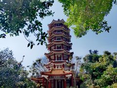 -深圳仙湖植物园