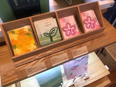 -雪绿茶博物馆