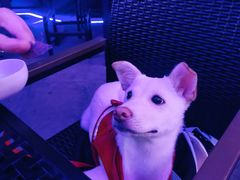 -bluefrog蓝蛙(皇庭广场店)