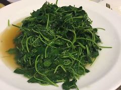 -上海会馆(香港名都店)