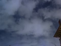 -沈阳奥林匹克体育中心