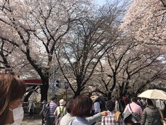 -名古屋城