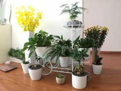 -她所·橙子美学·纹眉·美甲美睫