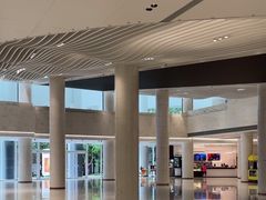 -浣熊唱片店(上海影城店)