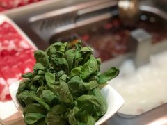 -海底捞大排档火锅(打浦路店)