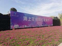 -杭州湾海上花田景区