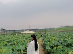 -光明小镇欢乐田园