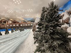 -湘江欢乐城欢乐雪域