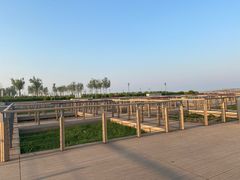 -东疆建设开发纪念公园