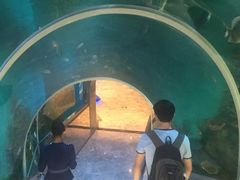 -瑞德姆美人鱼海底演艺主题餐厅(亚龙湾店)