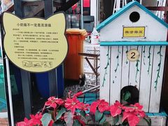 -猫咪博物馆(顶澳仔猫街店)