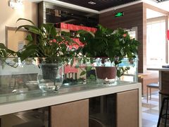 -嘉和一品粥(魏公村店)